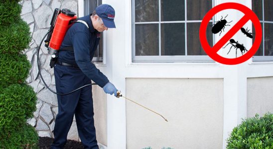 Tarsus Gümüşkurt İlaçlama böcek ilaçlama ve haşere kontrolü — ilaclama-tr.com